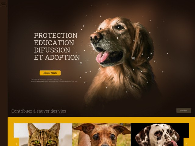 Actu sur les animaux