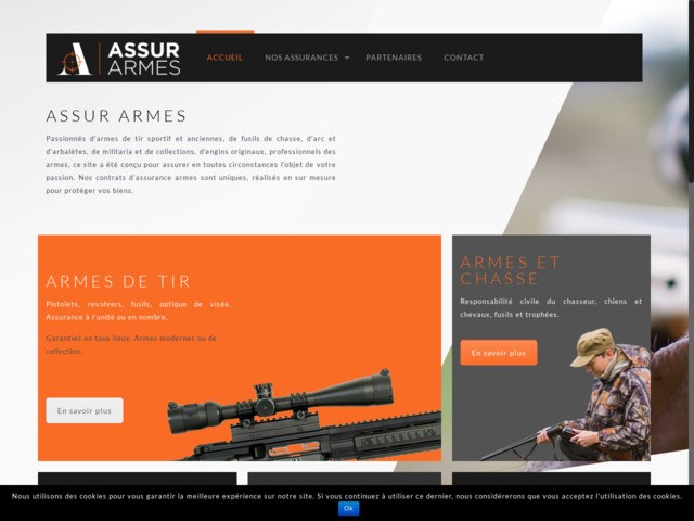 Assurance des armes et professions de l'armement