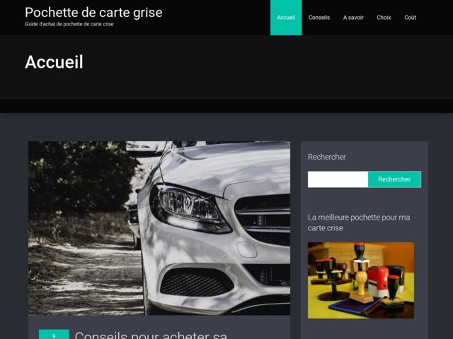Pochette pour carte grise | bmw audi volkswagen renault peugeot