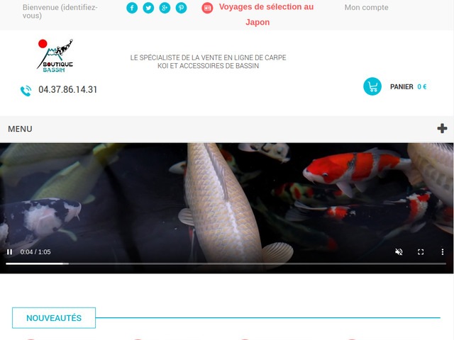 Design Jardins Carpes Koï Equipements Piscine