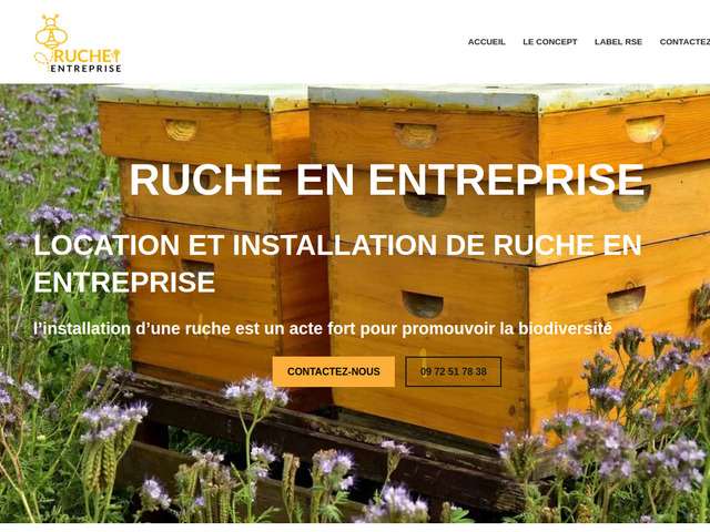 Ruche entreprise - location et installation de ruches