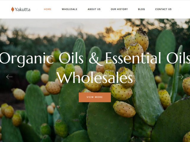 Date seed oil wholesale