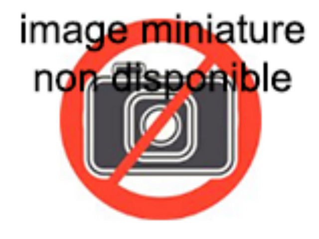 Tout sur les bookmakers en guinée