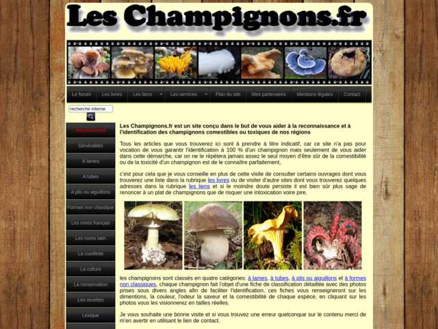 Les champignons