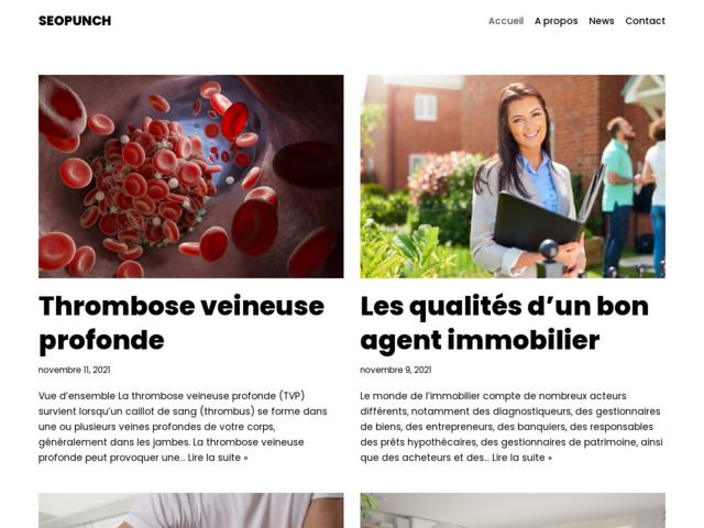 Mettez votre site web en avant et optimisez votre SEO avec Seopunch