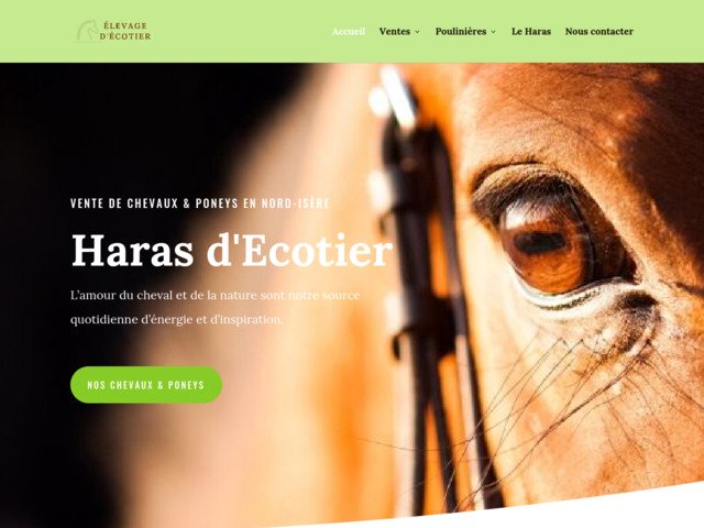 Elevage de chevaux en isère