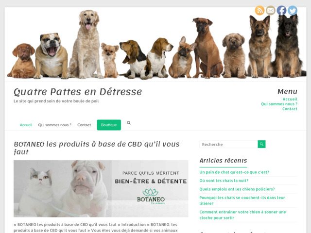 Quatre pattes en dtresse