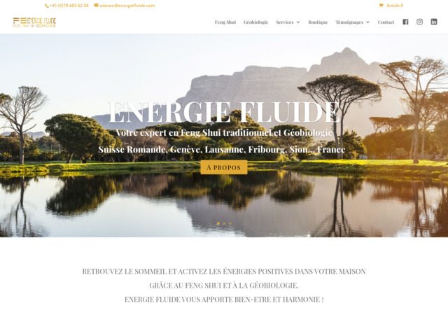 Energie fluide : l'expert suisse en feng shui et en géobiologie
