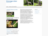 Dresser un chiot