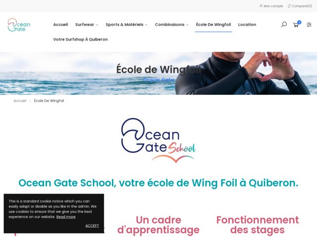 Ocean gate school, votre cole de wing foil  quiberon