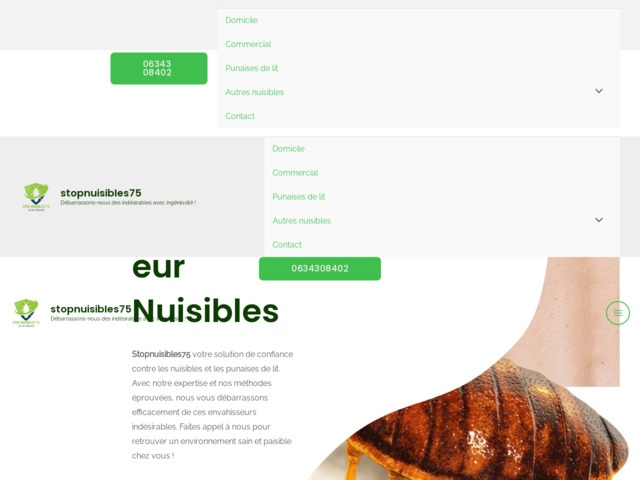 Stop nuisibles 75 : votre expert en extermination de nuisibles à paris