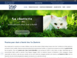 Alimentation pour chats  Auriol chez La Chatterie du Vallon