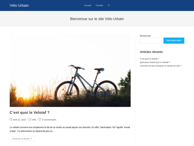 Le vélo urbain, le nouveau moyen de locomotion préféré des français