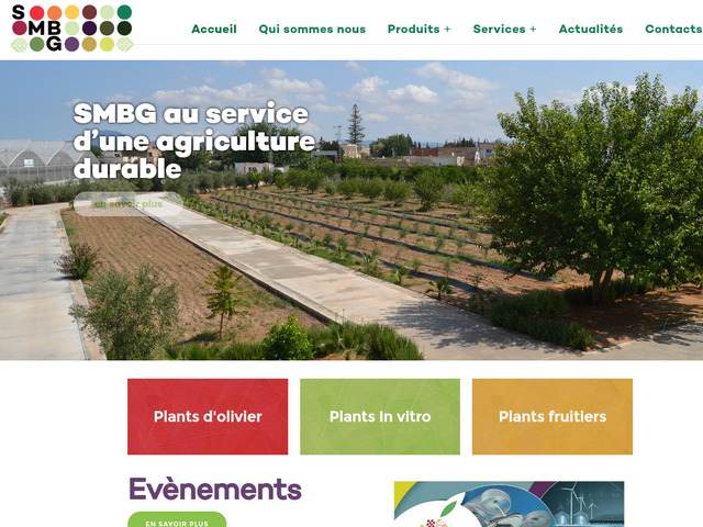 Pépinière production de plants fruitier