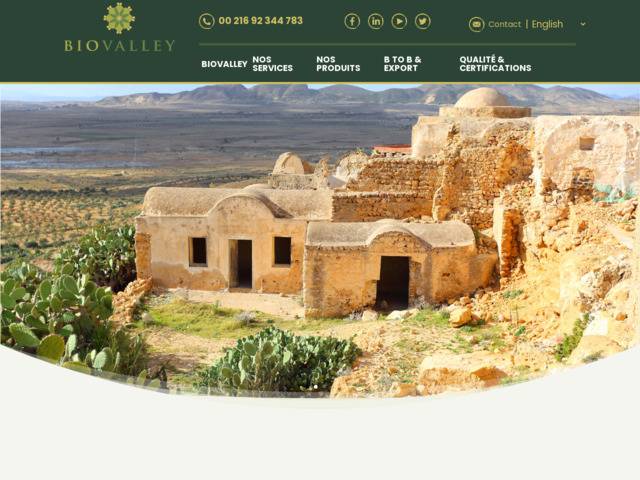 Grossiste de ppins de figue de barbarie