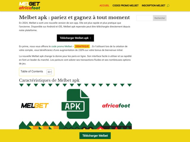 Le portail expert dédié à Melbet en Afrique