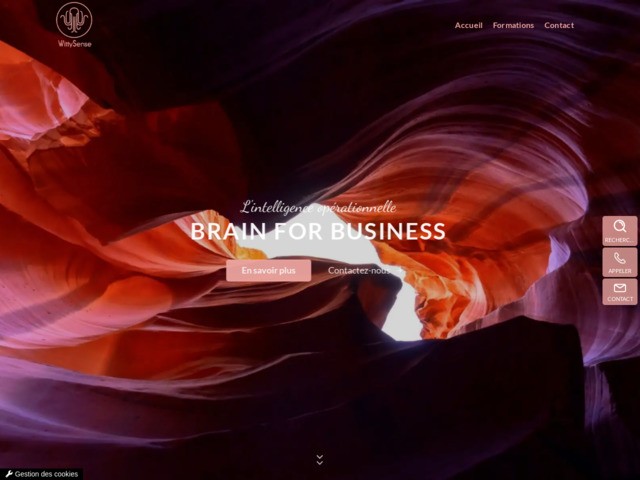 Architecte d’organisation d’entreprises st-raphaël - wittysense