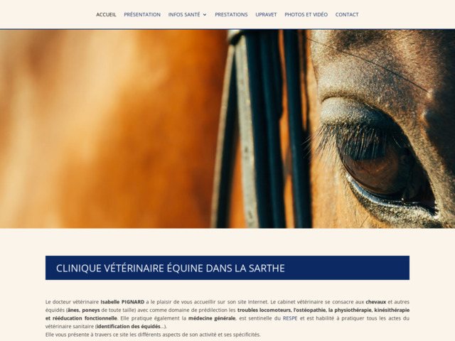 Cabinet vtrinaire chevaux 72