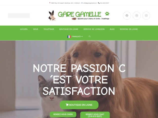 Toilettage pour chien