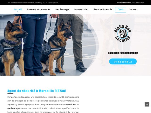 Agent de sécurité à Marseille - Alpha Dog Sécurité