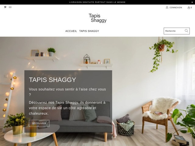 Tapis shaggy