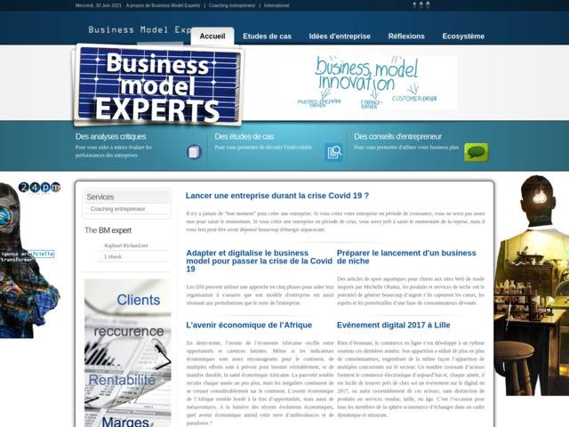 Business model experts