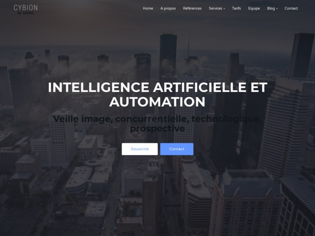 Cybion