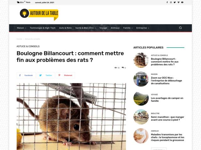 Comment mettre fin aux problèmes des rats ?