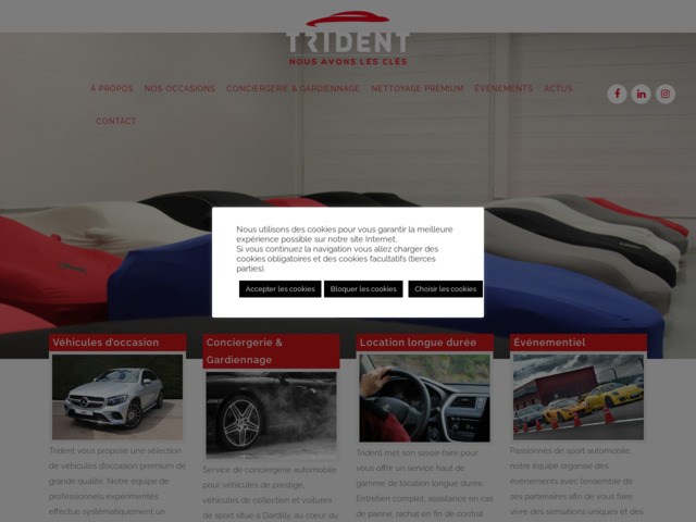 Vente véhicules d'occasion : Trident