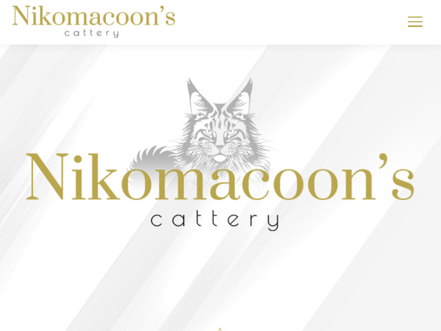 Elevage de Maine Coon XXL en France