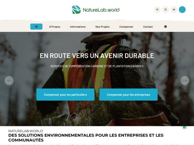 Compensation de CO2 : projets de plantation d'arbres