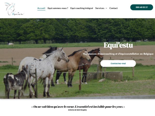 Séances d'équi coaching, Equi'es tu