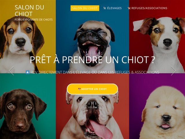 Salons des chiots
