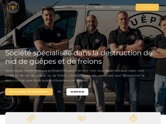 Guêpes express - vos professionnels pour détruire un nid de guêpes