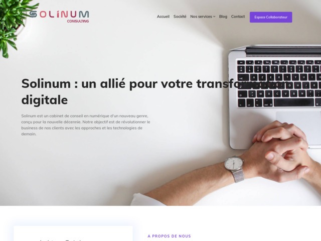 Solinum Consulting