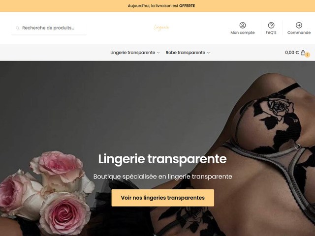 Lingerie transparente