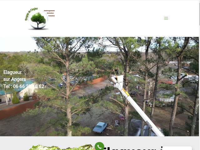 Paysagiste et élagueur à Angers 49