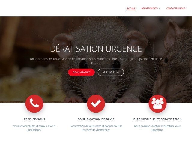 Dratisation urgence - Dratisation rapide et efficace
