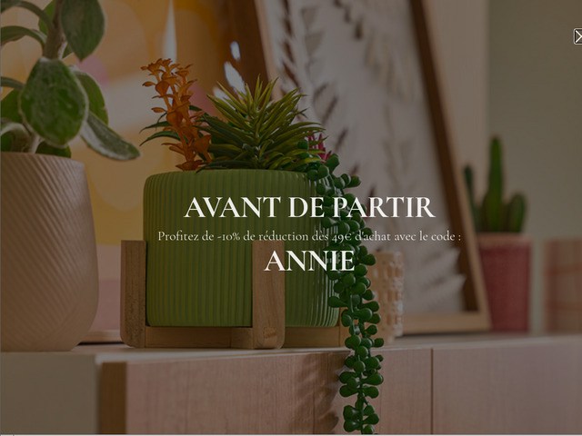 Ma plante artificielle