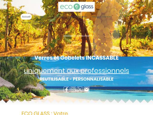 Verres incassable acrylique