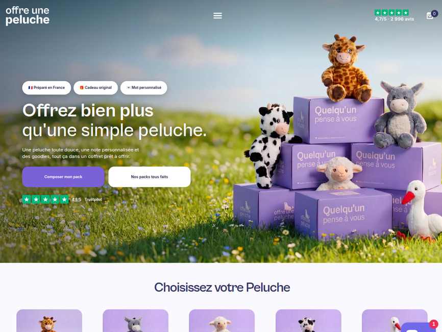 Offre une peluche