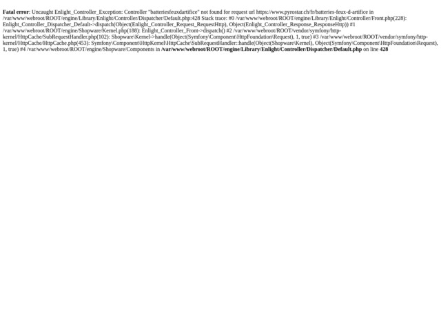 Feu d'artifice de mariage chez Pyrostar GmbH