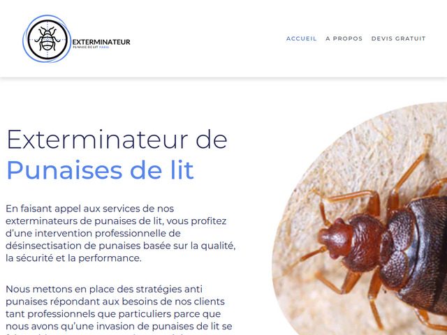 Entreprise punaise de lit à Paris - Exterminateur punaise