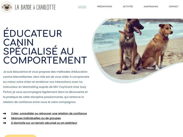 Educateur canin six fours les plages - la bande à charlotte