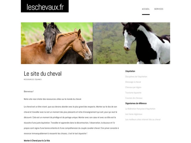 Les chevaux et l'equitation