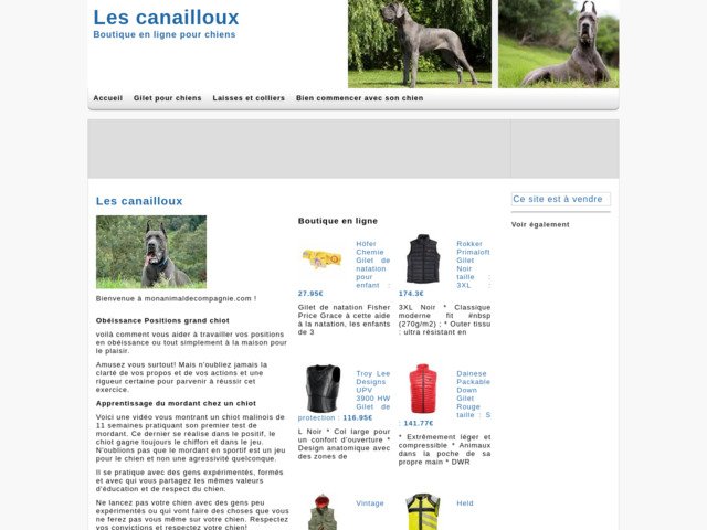 Mon animal de compagnie
