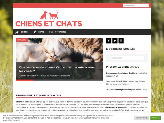 Chiens et chats : conseils, accessoires, santé, photos