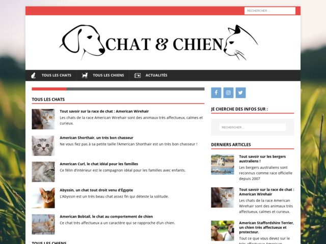 Chat & chien | dictionnaire et fiches de toutes les races