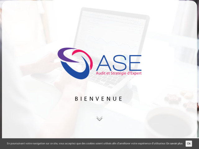 Audit et stratégie d'expert