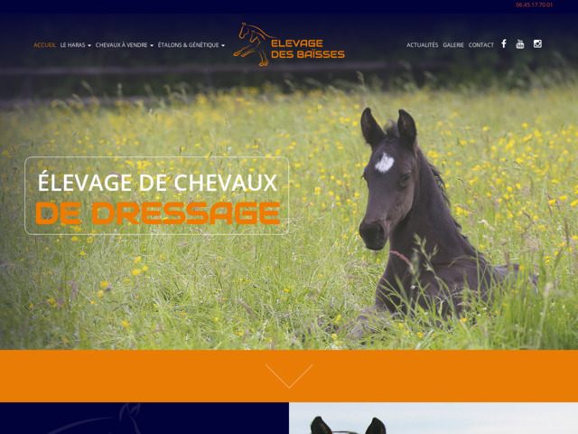 Elevage des Baisses